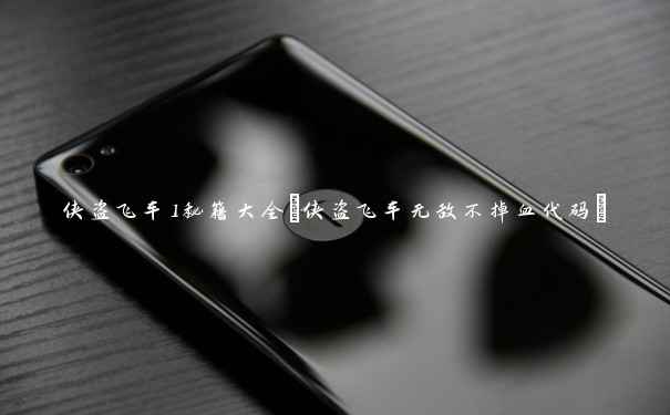 侠盗飞车1秘籍大全(侠盗飞车无敌不掉血代码) 侠盗飞车1秘籍大全(侠盗飞车无敌不掉血代码)