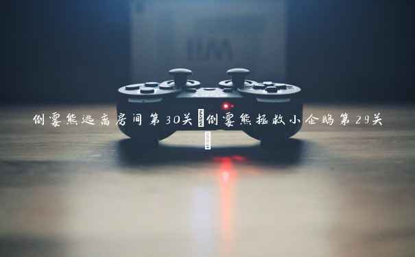 倒霉熊逃离房间第30关(倒霉熊拯救小企鹅第29关)