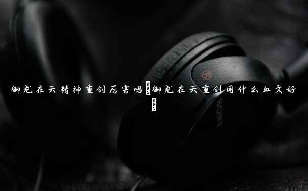 御龙在天精神重剑厉害吗(御龙在天重剑用什么血文好) 御龙在天精神重剑厉害吗(御龙在天重剑用什么血文好)