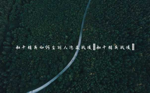 和平精英如何查别人隐藏战绩(和平精英战绩)