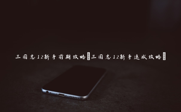 三国志12新手前期攻略(三国志12新手速成攻略) 三国志12新手前期攻略(三国志12新手速成攻略)