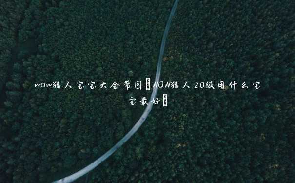 wow猎人宝宝大全带图(WOW猎人20级用什么宝宝最好) wow猎人宝宝大全带图(WOW猎人20级用什么宝宝最好)