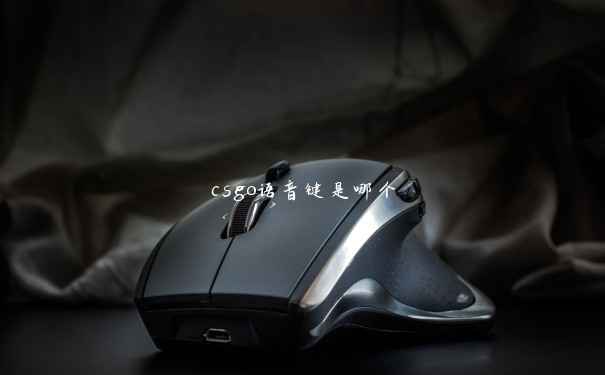 csgo语音键是哪个