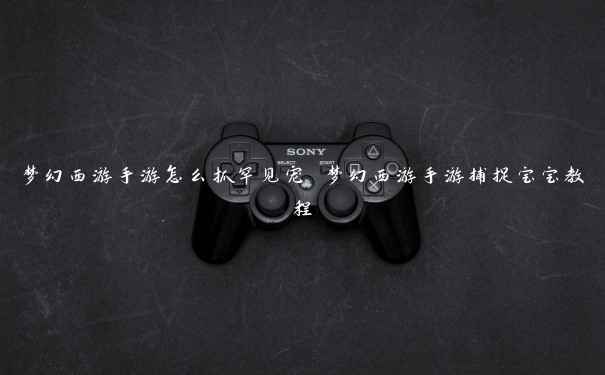 梦幻西游手游怎么抓罕见宠 梦幻西游手游捕捉宝宝教程 梦幻西游手游怎么抓罕见宠 梦幻西游手游捕捉宝宝教程