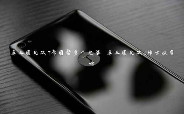 真三国无双7帝国娶多个老婆 真三国无双8绅士版有啥