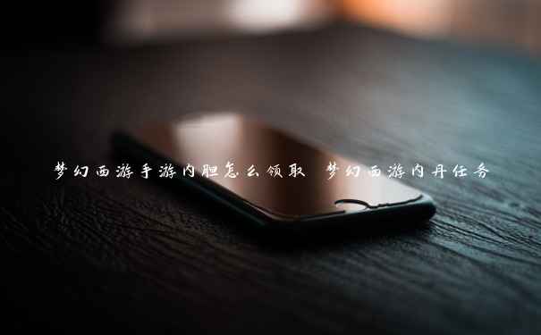 梦幻西游手游内胆怎么领取 梦幻西游内丹任务