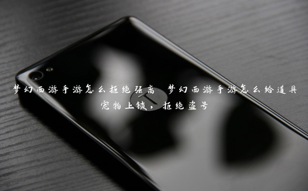 梦幻西游手游怎么拒绝强离 梦幻西游手游怎么给道具宠物上锁,拒绝盗号 梦幻西游手游怎么拒绝强离 梦幻西游手游怎么给道具宠物上锁,拒绝盗号