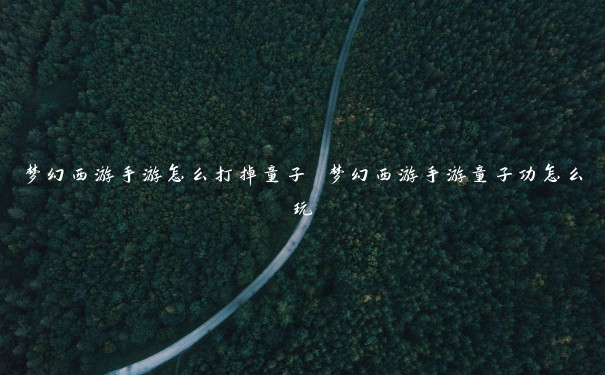 梦幻西游手游怎么打掉童子 梦幻西游手游童子功怎么玩 梦幻西游手游怎么打掉童子 梦幻西游手游童子功怎么玩