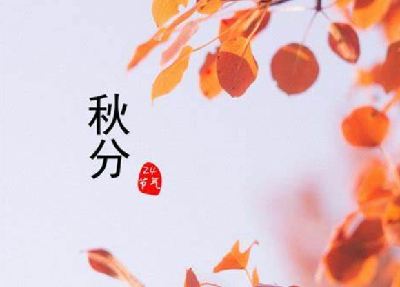 秋分