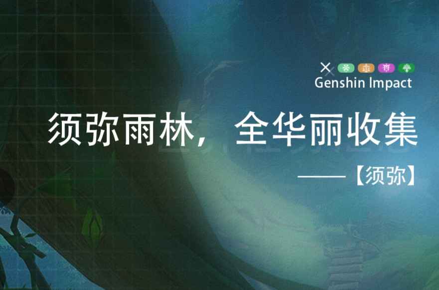 须弥雨林华丽宝箱收集