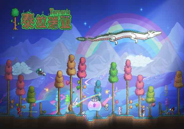 神奇海螺用途一览