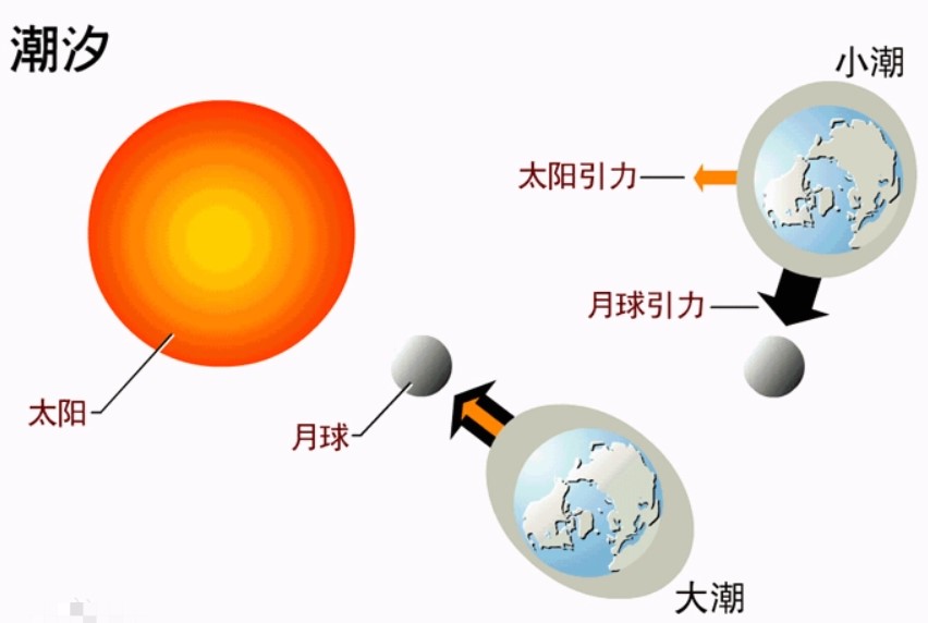 潮汐展示