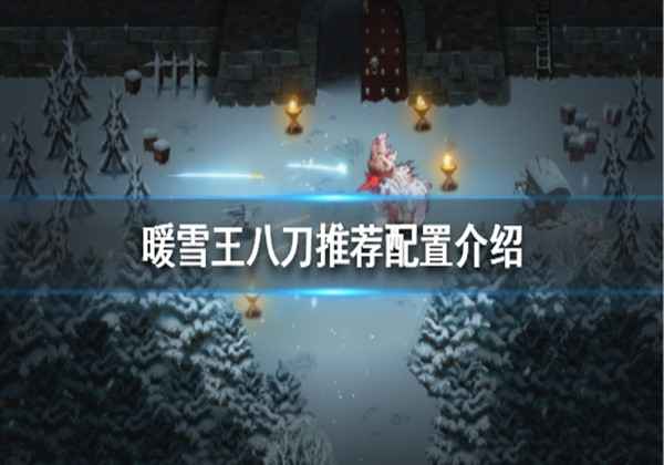 暖雪王八刀推荐配置介绍
