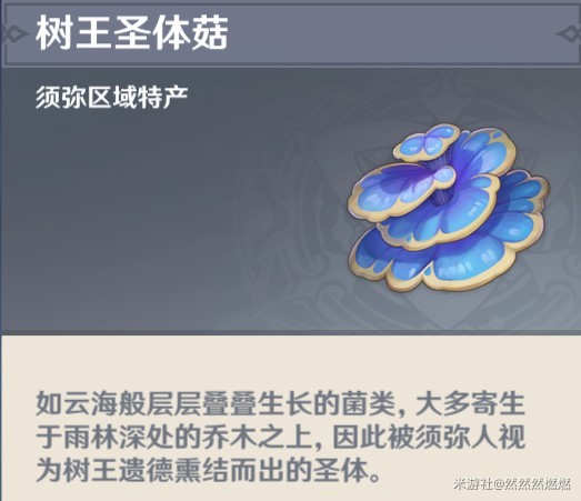 树王圣体菇