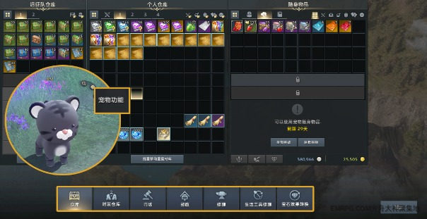 命运方舟宠物功能