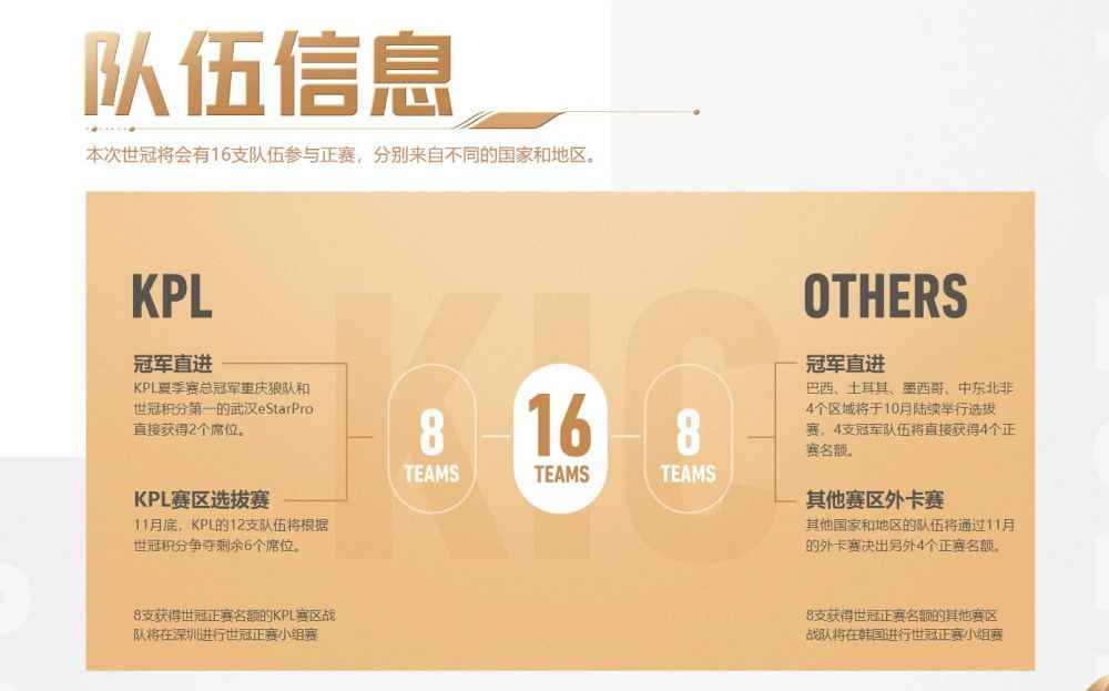 队伍信息