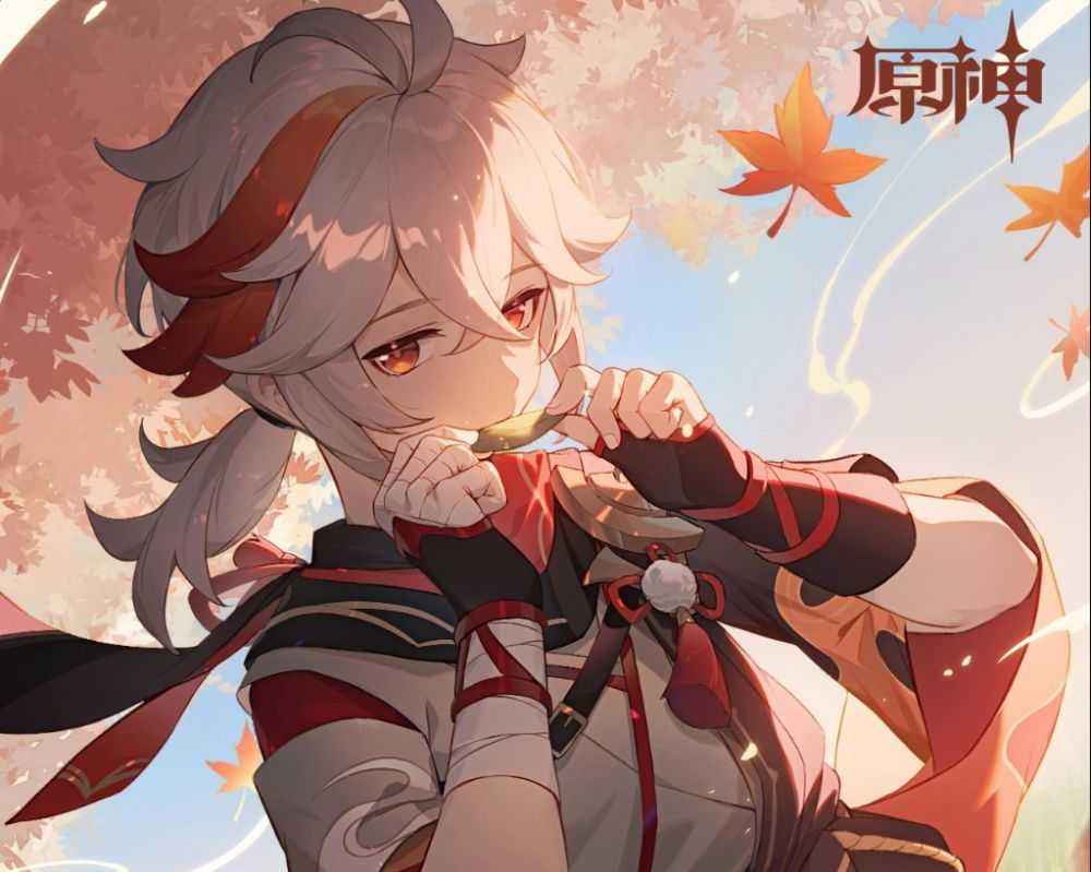 万叶宣传海报