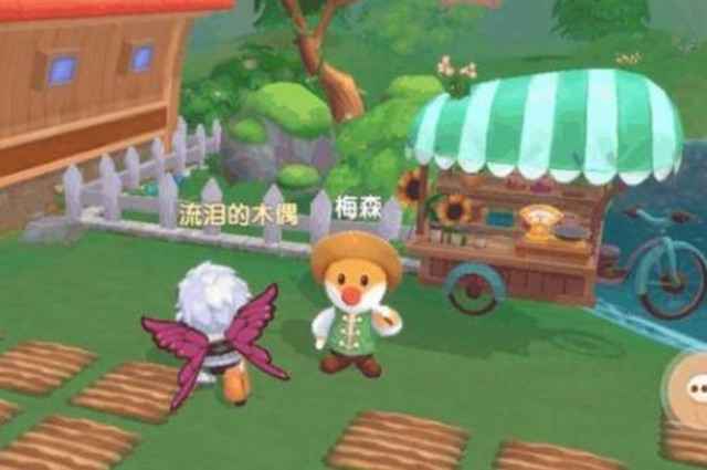 购买枫树种子