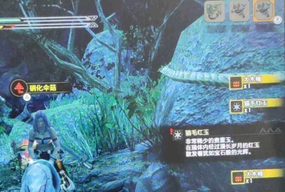 怪物猎人崛起猫猫红玉