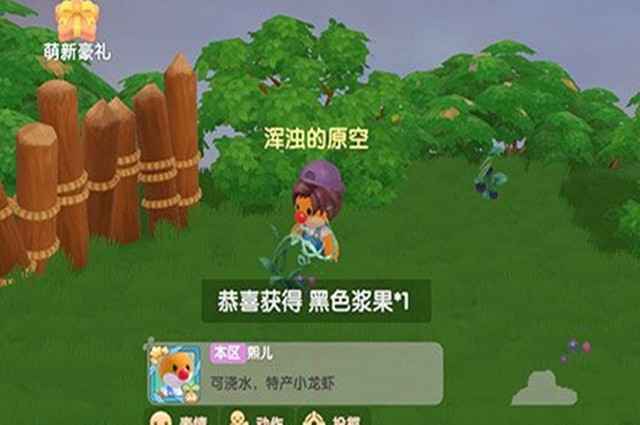 摩尔庄园手游黑色浆果获取位置与方法