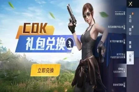 和平精英CDkey详解：获取途径与使用指南